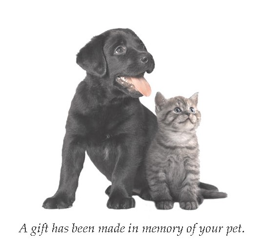 Cornell Memorial Giving Program